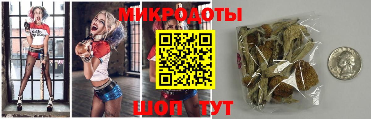 Галлюциногенные грибы мицелий  Вход с VPN  Татарск 